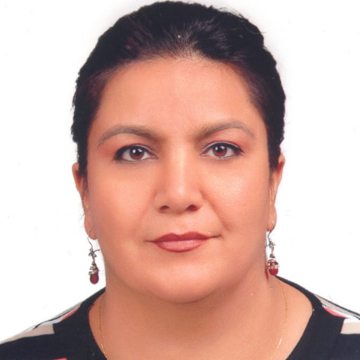 Assoc. Prof. Nursen IÞIK (Turkey)